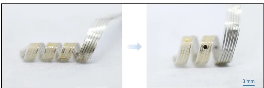 Open access visualization of Photo, SpiralE, Fixed Shape, Permanent Shape, Radius