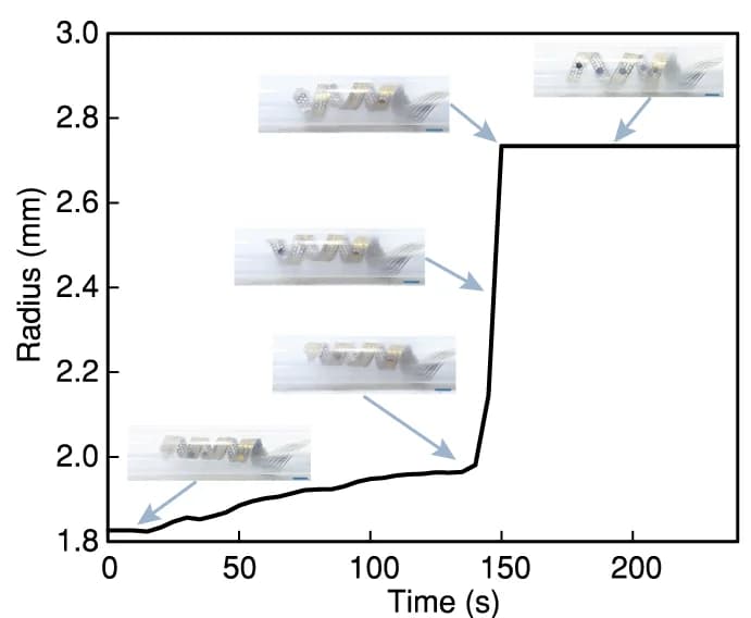Open access visualization of Line Plot, Line Step, Inner Radius, SpiralE, Deformation