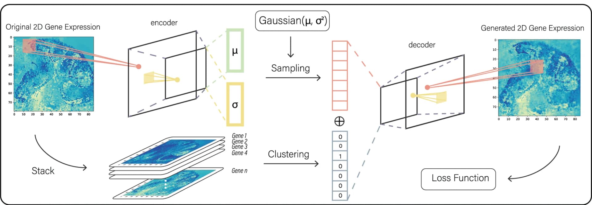 Open access visualization of Workflow, Illustration, Data Augmentation, Encoding Stage, Decoding Stage