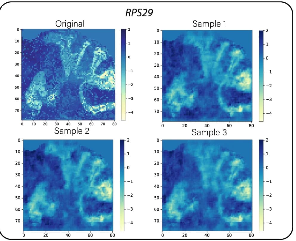 Open access visualization of Heatmap, Gene expression maps, RPS20, CALB1, Replicates
