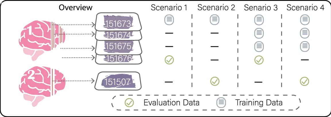 Open access visualization of Workflow, Illustration, Tissue Sections, Training Data, Test Data