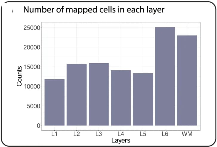 Open access visualization of Bar Plot, Cells, L1, L2, L3
