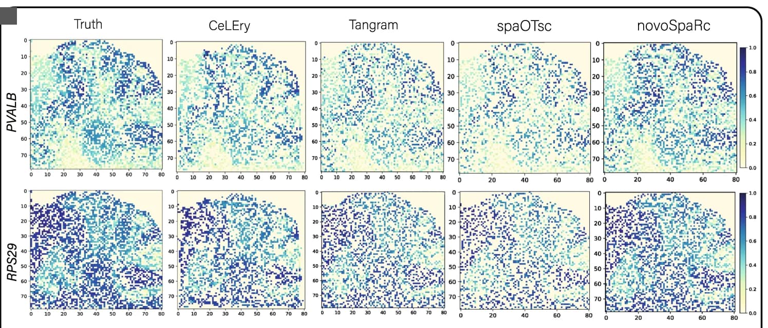 Open access visualization of Heatmap, Gene expression map, Test set, Predicted locations, Holdoff rate