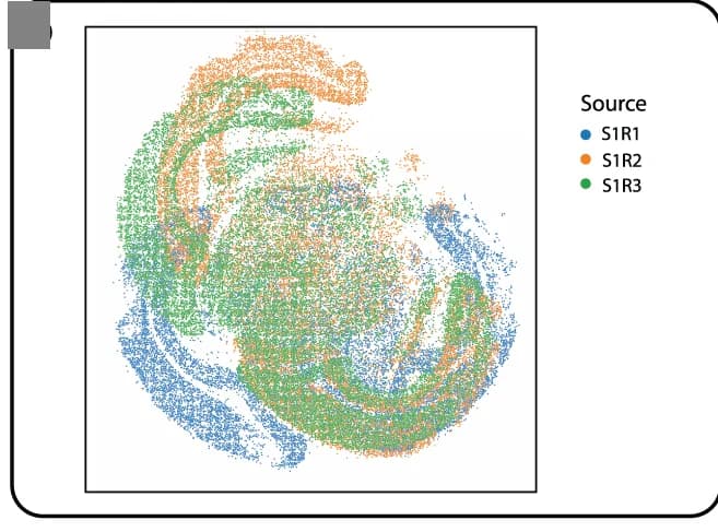 Open access visualization of Scatter Plot, UMAP, Replicates, Spatial coordinates