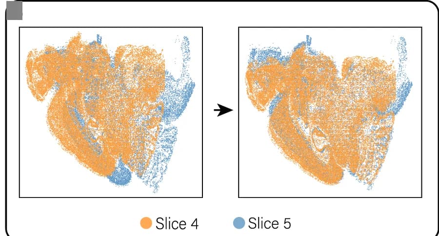 Open access visualization of Scatter Plot, UMAP, Training Slices, Spatial Coordinates, Location Matching