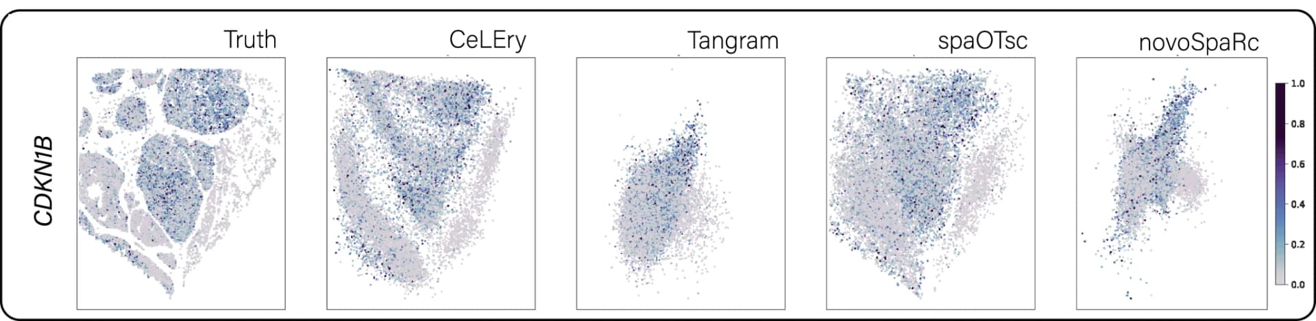 Open access visualization of Scatter Plot, Gene Expression Map, Gene CDKN1B, Cell Locations, Relative Gene Expression