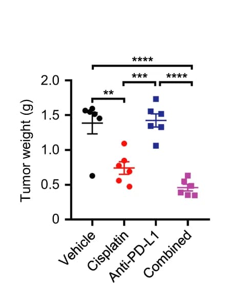 Open access visualization of Scatter Plot, Error Bars, Tumor Weights, 4T1 Cells, BALB/c Mice