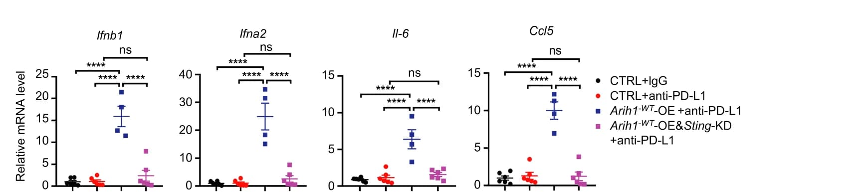 Open access visualization of Bar Plot, Error Bars, Scatter Plot, qRT-PCR, ISGs
