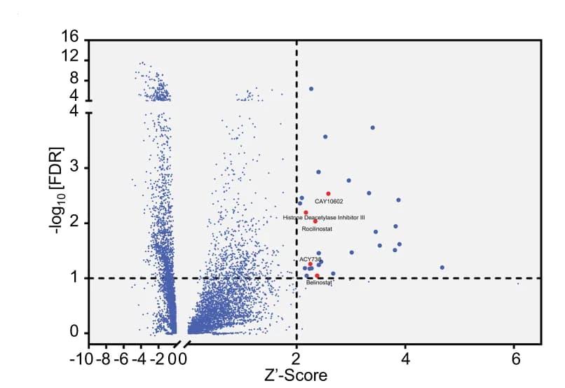 Open access visualization of Volcano Plot, Scatter Plot, High-throughput Screening, Drug Candidates, ARIH1 Enhancers