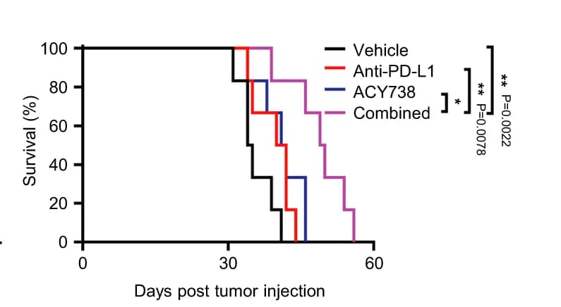 Open access visualization of Survival Curve, Survival Curves, Tumor Bearing Mice, Treatments, Log-Rank Test