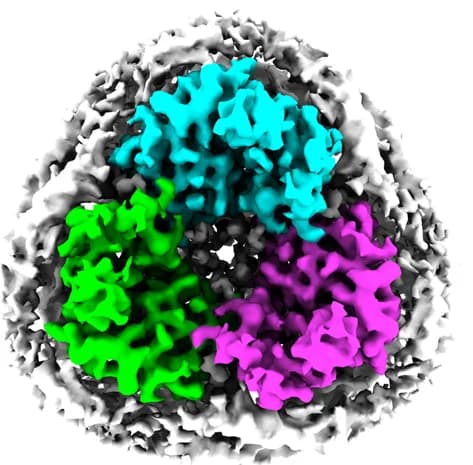 Open access visualization of Protein Structure, Lipids, Proteins, Peptides, Sterols