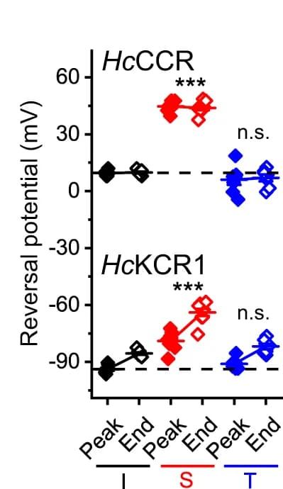 Open access visualization of Scatter Plot, Error Bars, Reversal Potentials, Channel Currents, Variants