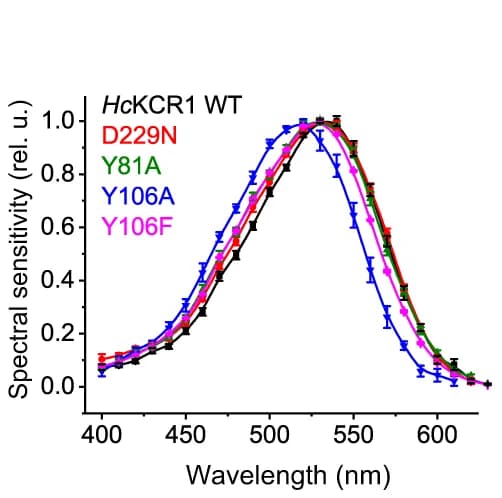 Open access visualization of Line Plot, Error Bars, Action Spectra, Photocurrents, Hc KCR1