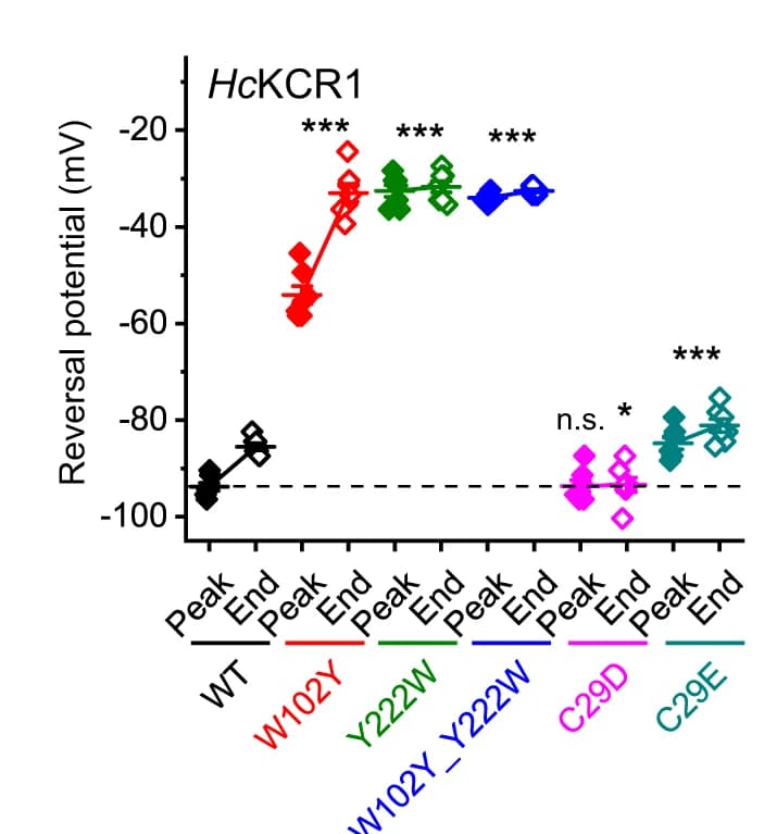 Open access visualization of Scatter Plot, Reversal Potential, Channel Currents, Mutants, Extracellular Residues