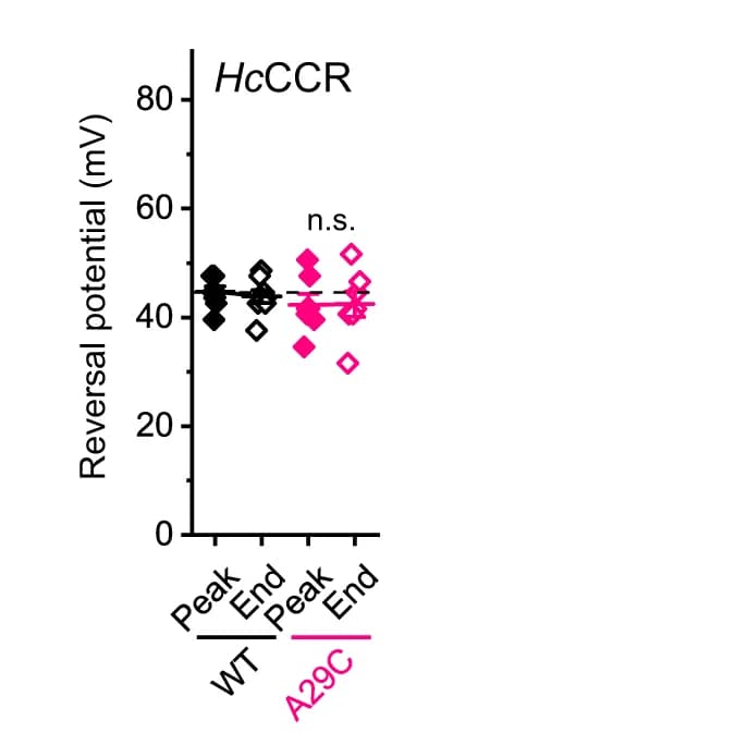 Open access visualization of Scatter Plot, Reversal Potential, Channel Currents, Mutants, Extracellular Residues