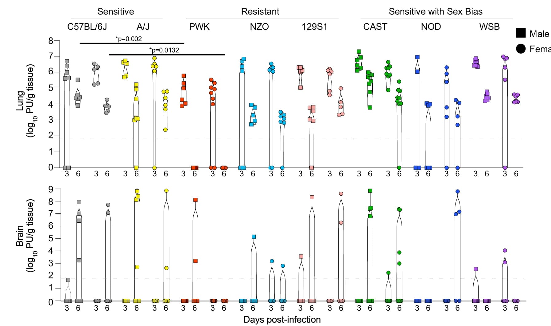 Open access visualization of Violin Plot, Scatter Plot, Virus Titers, Lung, Brain