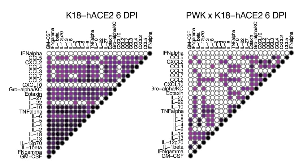 Open access visualization of Heatmap, Correlation Plots, IFN, Cytokine Panel, K18-hACE2