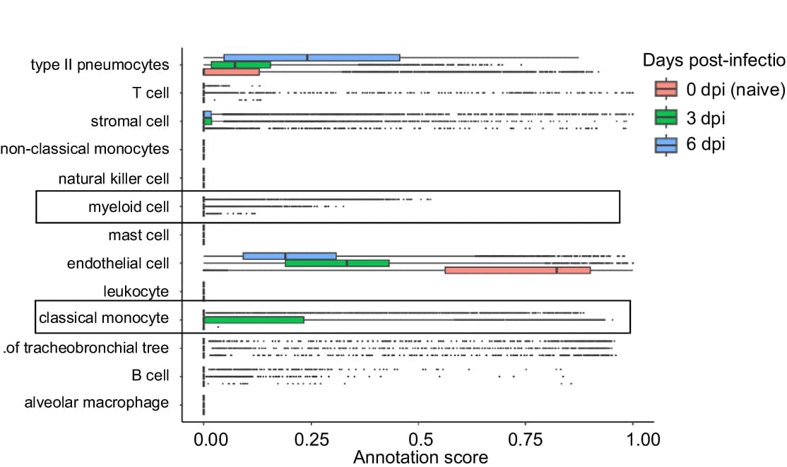Open access visualization of Box Plot, Scatter Plot, UMAP, Transcriptional Clusters, PWK x K18-hACE2