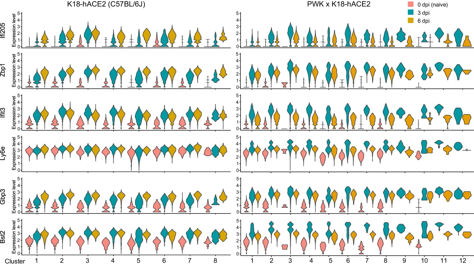 Open access visualization of Violin Plot, Error Bars, Violin Plots, Expression Levels, ISGs