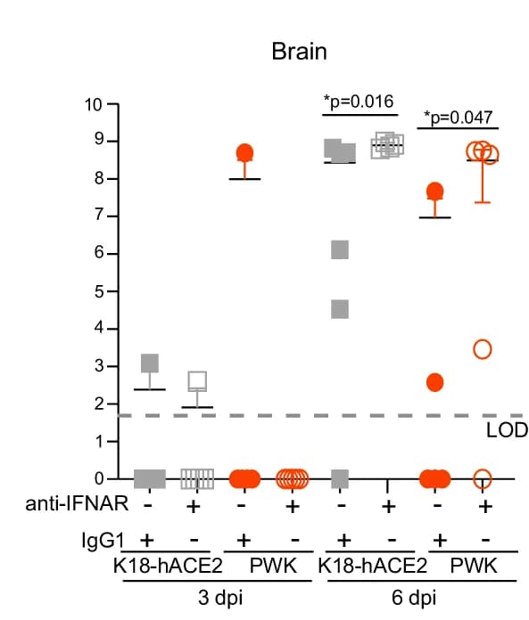 Open access visualization of Scatter Plot, Error Bars, Virus titers, Brain