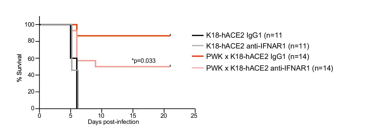 Open access visualization of Line Plot, Line Step, Survival Curve, Survival rate