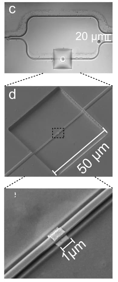 Open access visualization of Microscopy, Metal Patch, Waveguide, SEM Image