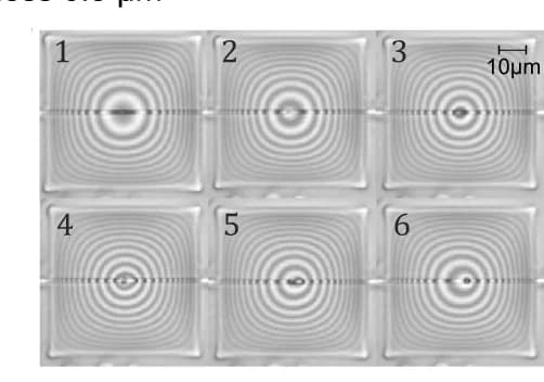 Open access visualization of Microscopy, Optical Images, Silicone Oil, Gas-Liquid Interface, Waveguide