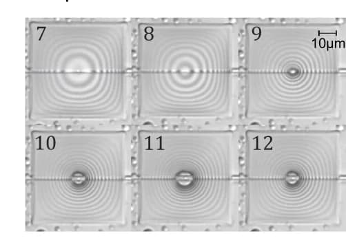 Open access visualization of Microscopy, Phase Change, Optical Power, Silicone Oil, Hysteresis Loop