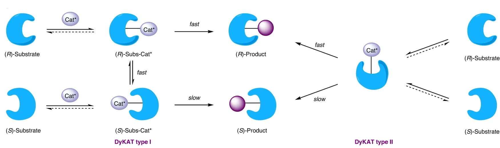 Open access visualization of Workflow, Flowchart, Illustration, DyKAT