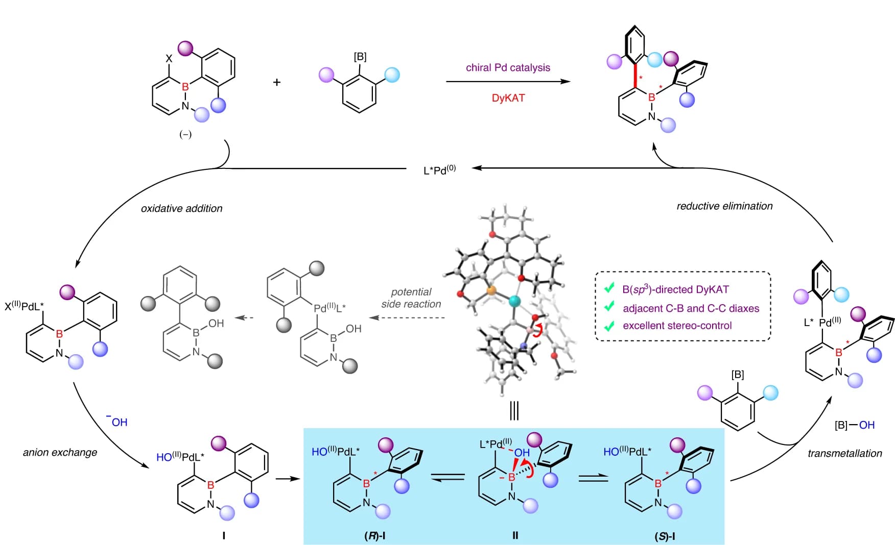 Open access visualization of Workflow, Illustration, Chemical Structure, Boron, DyKAT