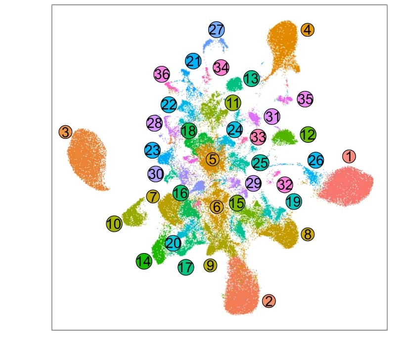 Open access visualization of Scatter Plot, UMAP, Single Nuclei, Hippocampus, EPO