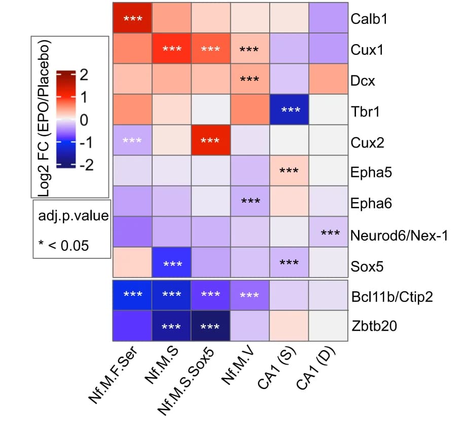 Open access visualization of Heatmap, Differential Expression, Genes, EPO, PL Samples