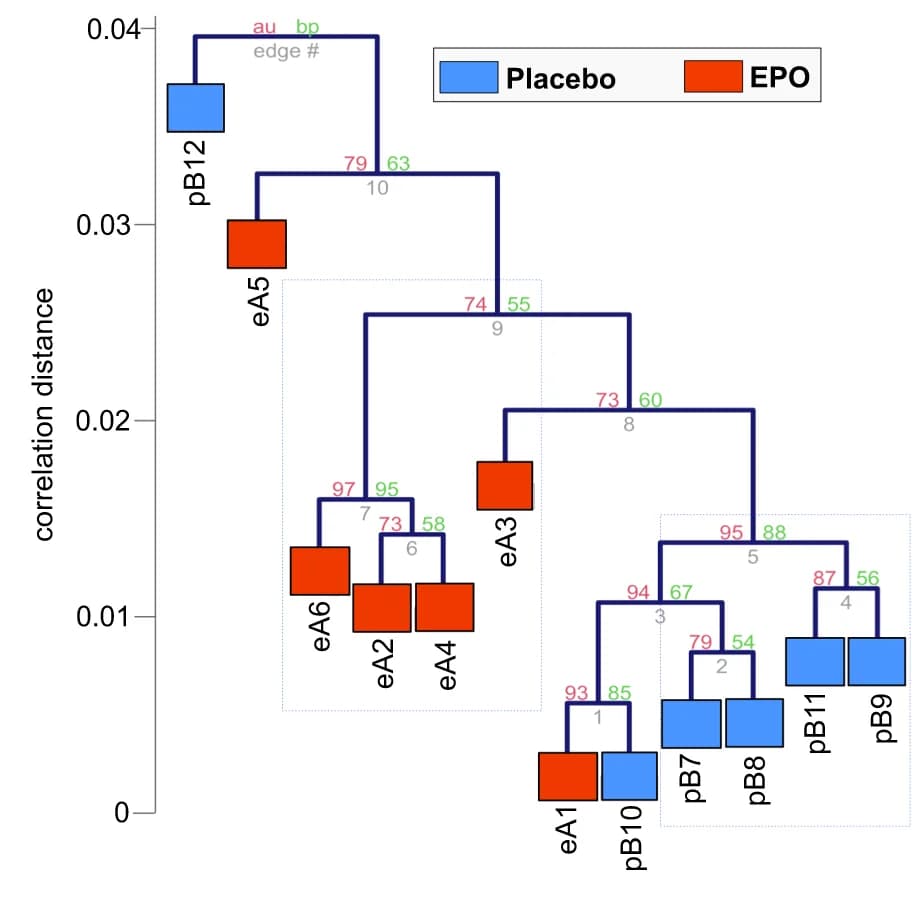 Open access visualization of Network, Hierarchical Clustering, Spearman Rank Correlation, Average Linkage, Bootstrapping
