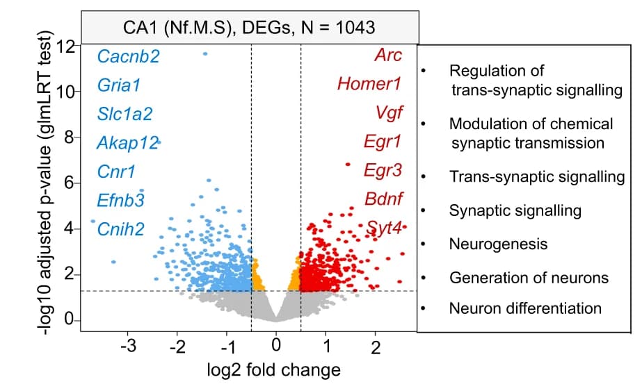 Open access visualization of Volcano Plot, Scatter Plot, Gene Expression, EPO, PL