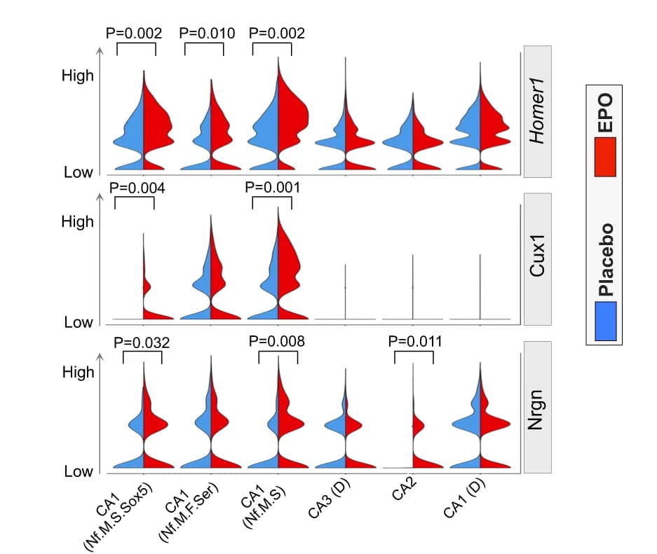 Open access visualization of Violin Plot, Violin Plots, Gene Expression, Homer1, Cux1