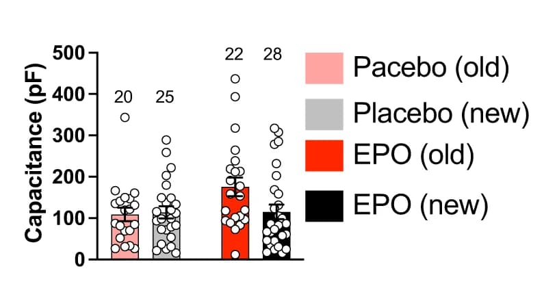 Open access visualization of Bar Plot, Error Bars, Scatter Plot, Capacitance, CA1 neurons