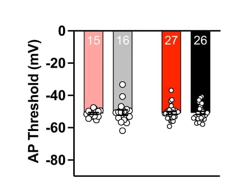 Open access visualization of Bar Plot, Scatter Plot, AP threshold, EPO treatment, Neuron age