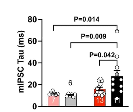 Open access visualization of Bar Plot, Error Bars, mIPSC decay time constants, EPO treatment, Two-way ANOVA