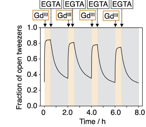 Open access visualization of Line Plot, DNA Tweezers, Opening and Closing, Fluorescence Analysis, HEPES Buffer