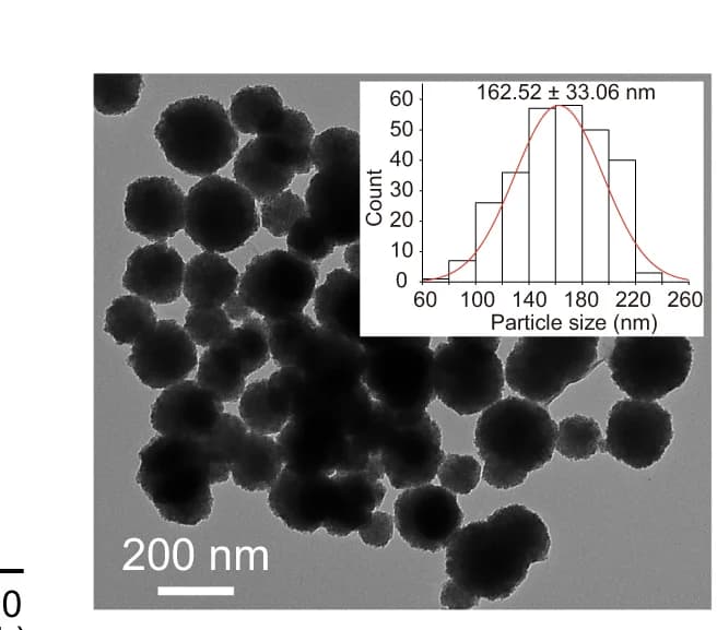 Open access visualization of Microscopy, Histogram, Line Plot, TEM, MNPs@Ab