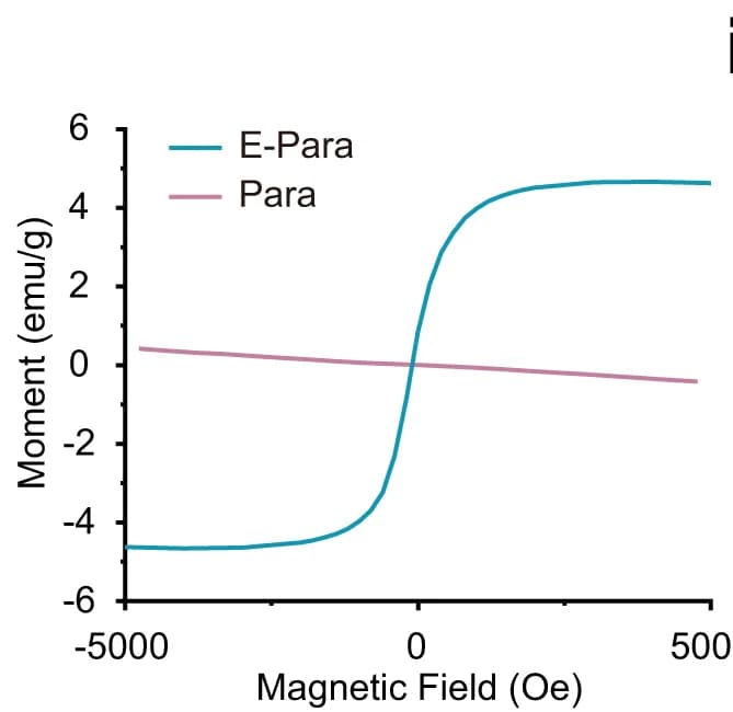 Open access visualization of Line Plot, Magnetic Hysteresis Loops, Natural Para, E-Para