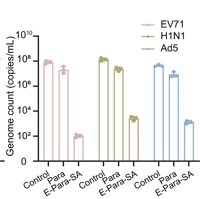 Open access visualization of Bar Plot, Scatter Plot, Error Bars, Virus Removal, MNPs