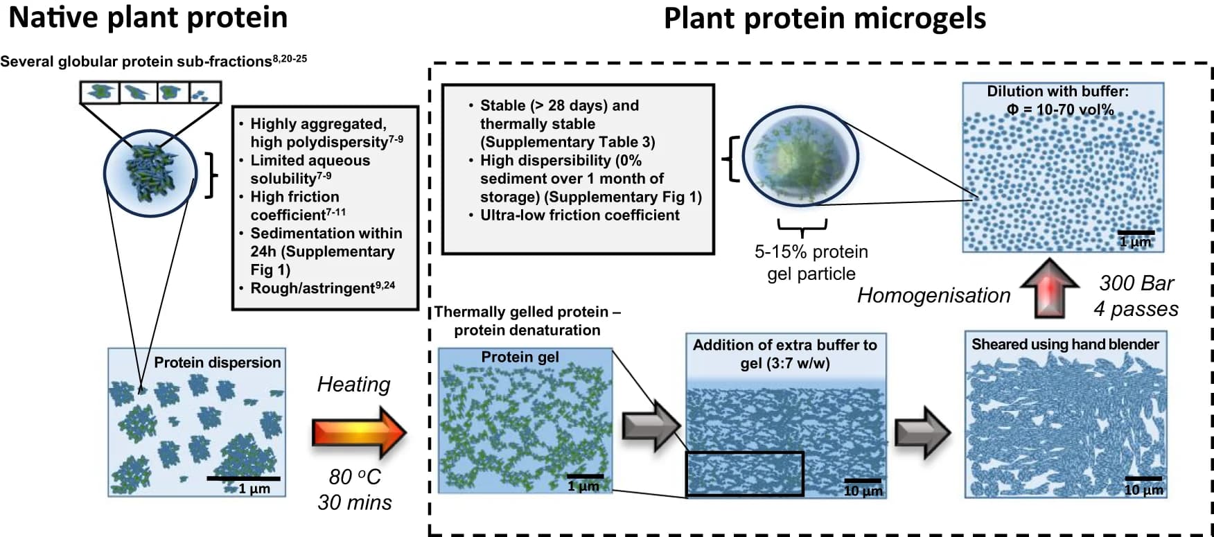 Open access visualization of Workflow, Illustration, Microgelation, Plant Proteins, Hydrogel