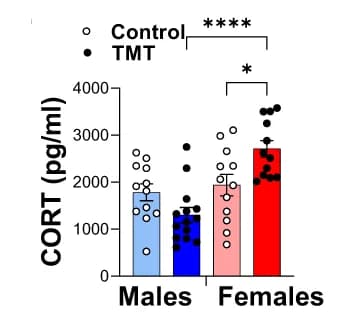 Open access visualization of Bar Plot, Error Bars, CORT Levels, Control, Males
