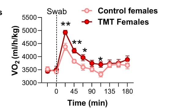 Open access visualization of Line Plot, Error Bars, VO 2, TMT, Sidak’s Post Hoc Comparison