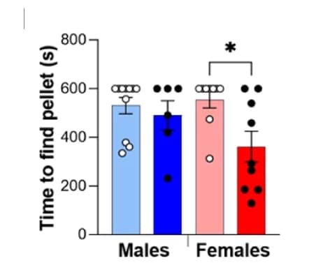 Open access visualization of Bar Plot, Error Bars, Buried Pellet Test, CNO Injection, Males