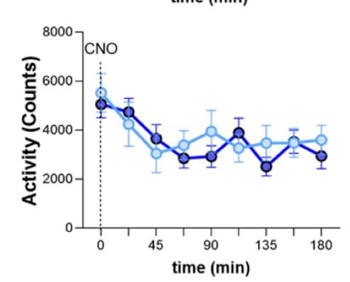 Open access visualization of Line Plot, Error Bars, Total Activity, CNO Injection, Males