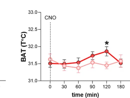Open access visualization of Line Plot, Error Bars, Infrared Images, BAT Temperature, CNO Injection