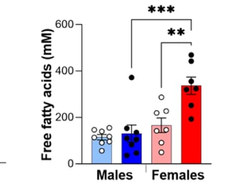 Open access visualization of Bar Plot, Error Bars, Plasma Free Fatty Acid Levels, Mice, CNO Delivery