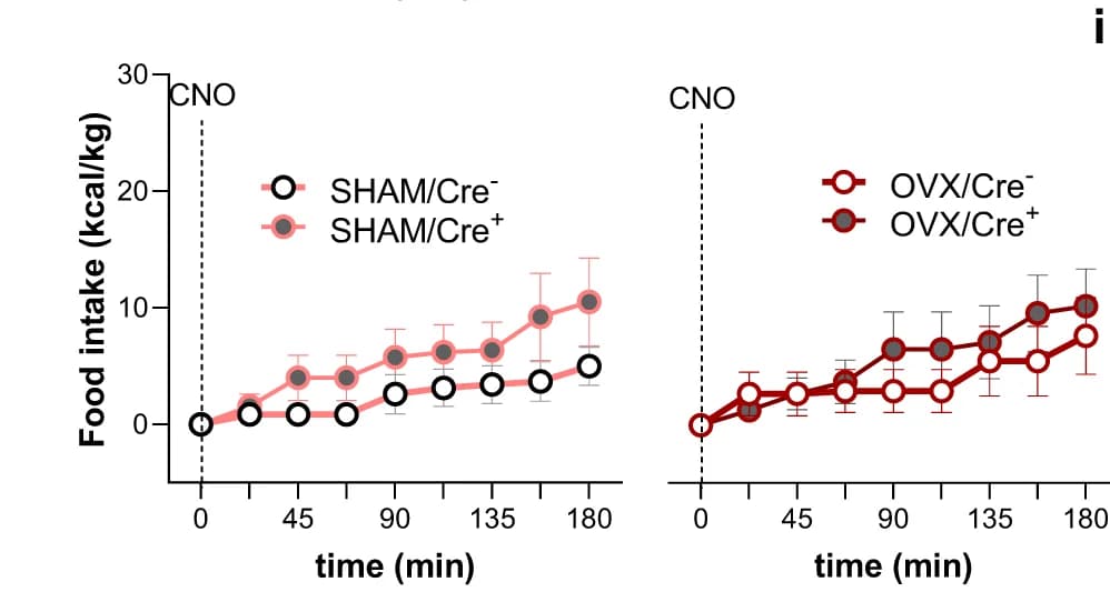 Open access visualization of Line Plot, Error Bars, Food Intake, CNO Injection, Sham Surgery